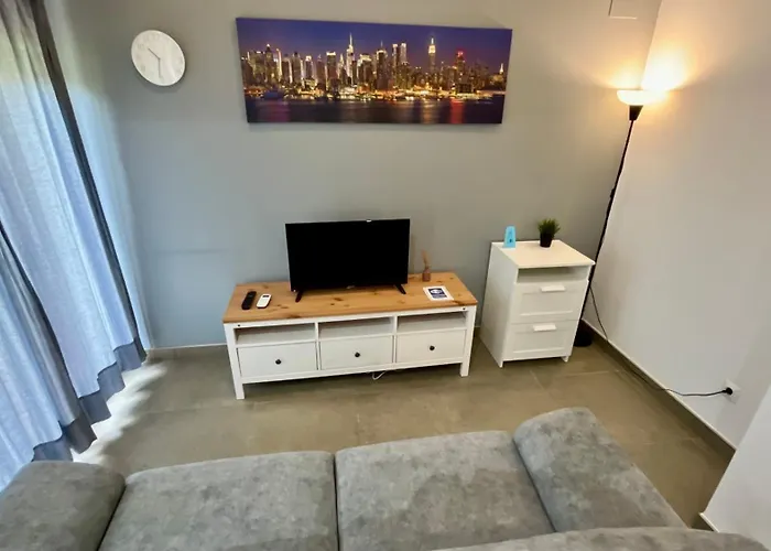 Pintor Losada Appartement *