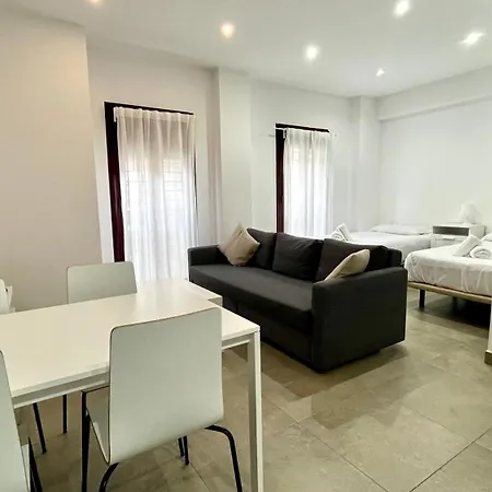 Apartment Pintor Losada