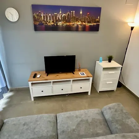 Pintor Losada Apartment *