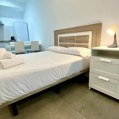 Apartment Pintor Losada *