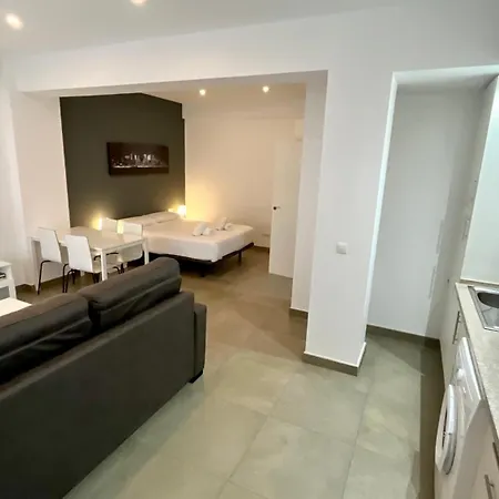 Pintor Losada Apartment *